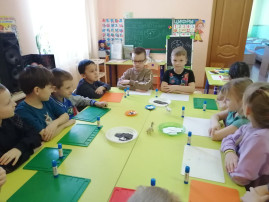 Зебра Зебра.