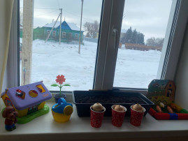 Огород на подоконнике Огород на подоконнике.
